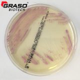 CHROMagar Staphylococcus aureus (1404)