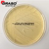 TSYEA (Tryptone Soya Yeast Extract Agar) zgodnie z ISO 11290 (1019)